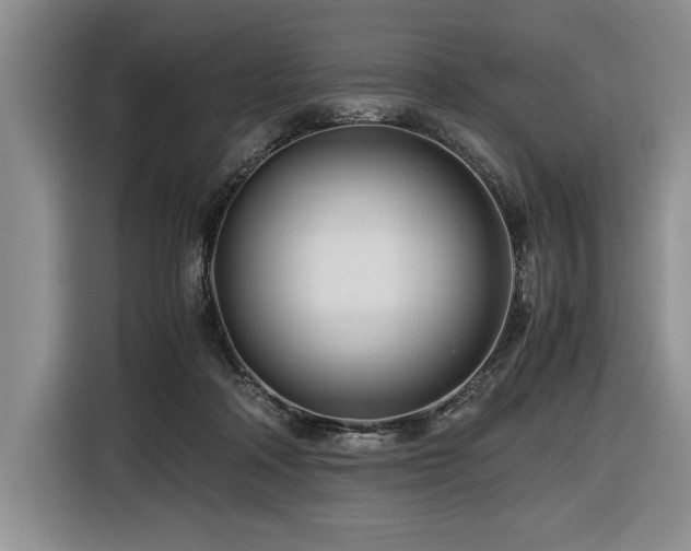 X0000116680314200912141437