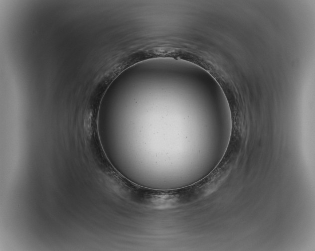 X0000116680319200912141437