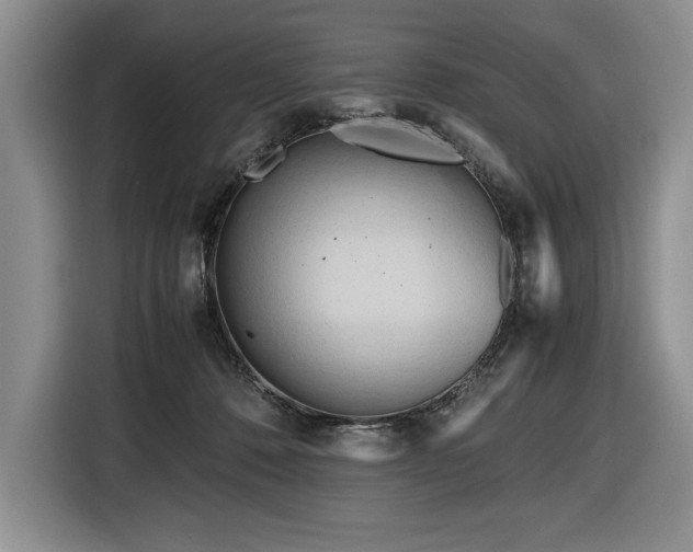 X0000116680320200912141437