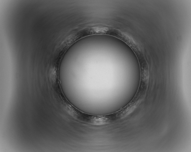 X0000116680321200912141437