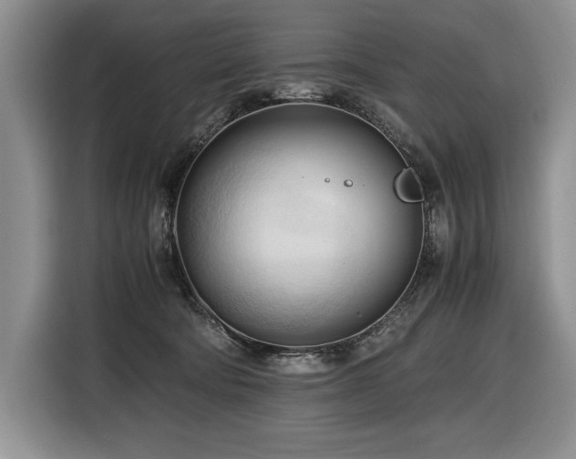 X0000116680322200912141437