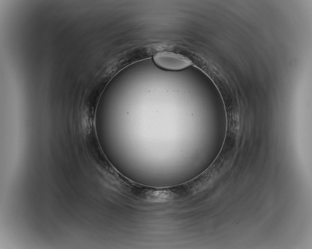 X0000116680324200912141437