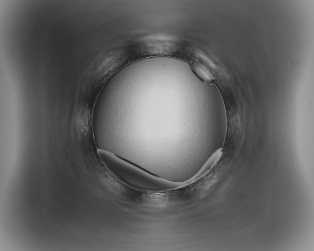 X0000116680325200912141437