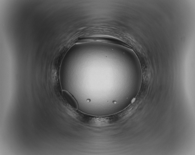 X0000116680327200912141437