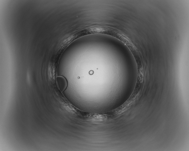 X0000116680330200912141437