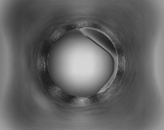 X0000116680333200912141437