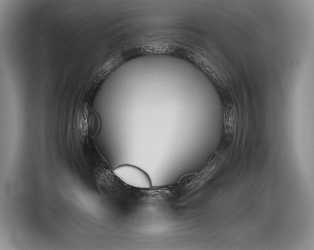 X0000116680334200912141437