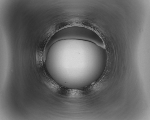 X0000116680336200912141437