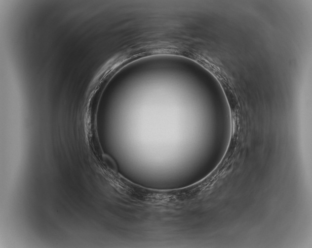 X0000116680339200912141436