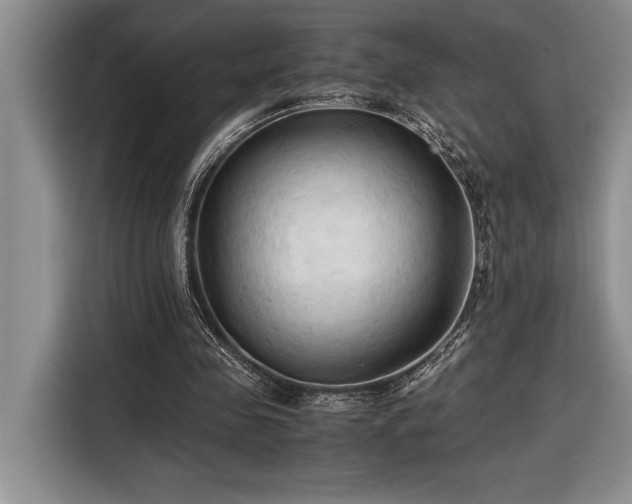 X0000116680341200912141436