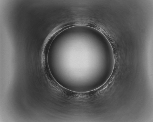 X0000116680343200912141436