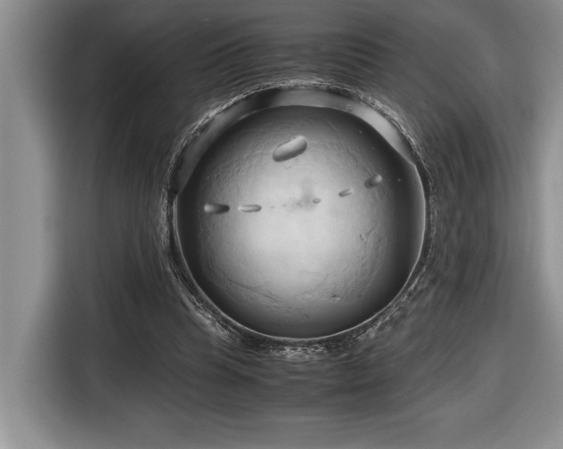 X0000116680345200912141436