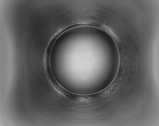 X0000116680346200912141436