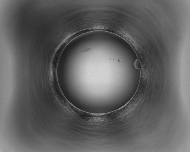 X0000116680347200912141436