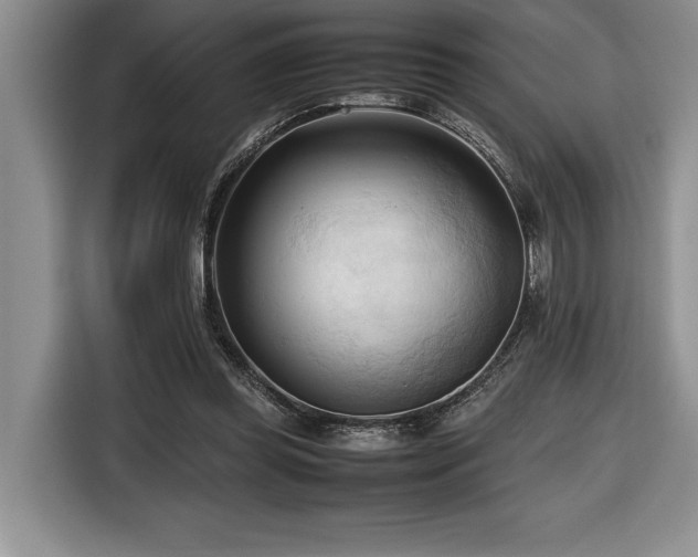 X0000116680349200912141436