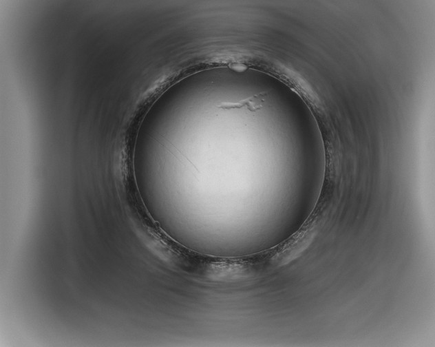 X0000116680354200912141436