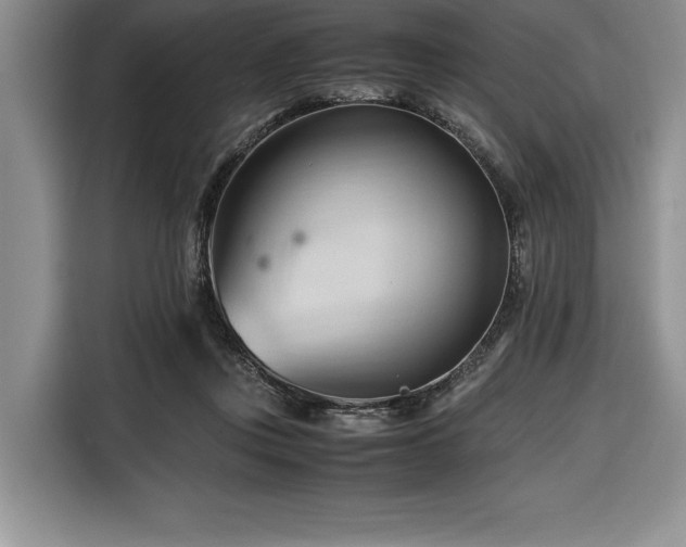 X0000116680359200912141436