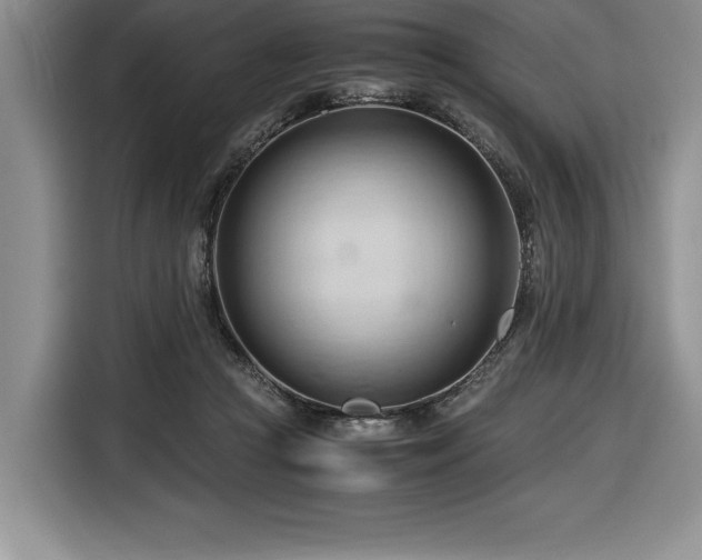 X0000116680361200912141436