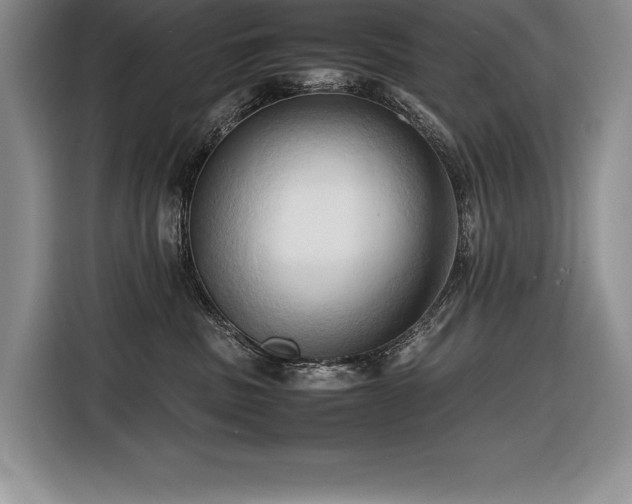 X0000116680379200912141437