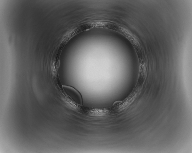 X0000116680381200912141437