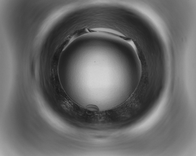 X0000116680382200912141437