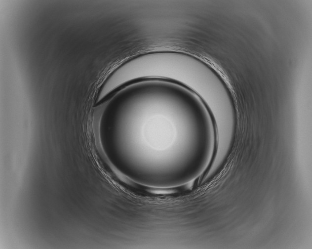 X0000116680385200912141436