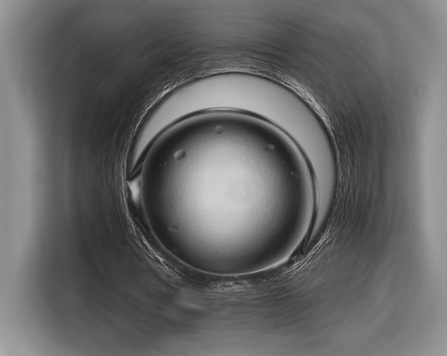 X0000116680386200912141436