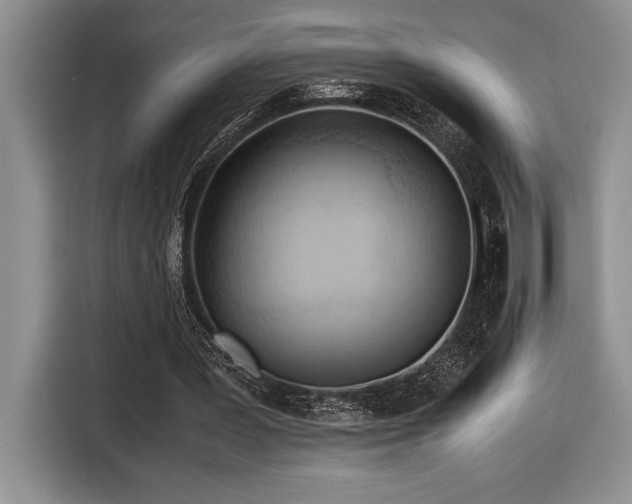 X0000116680387200912141436