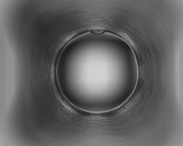 X0000116680389200912141436