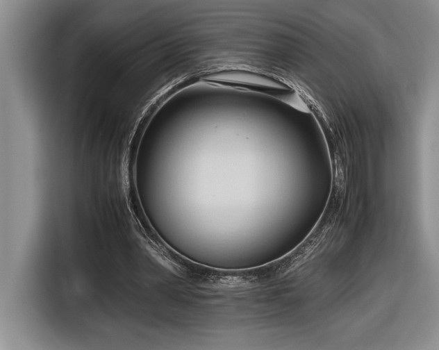 X0000116680390200912141436