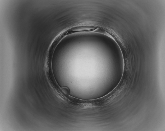 X0000116680392200912141436