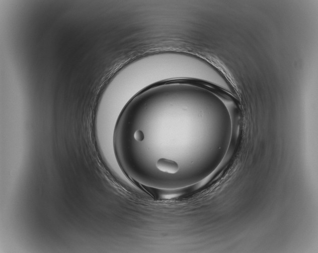 X0000116680393200912141436