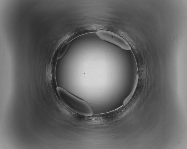 X0000116680395200912141436