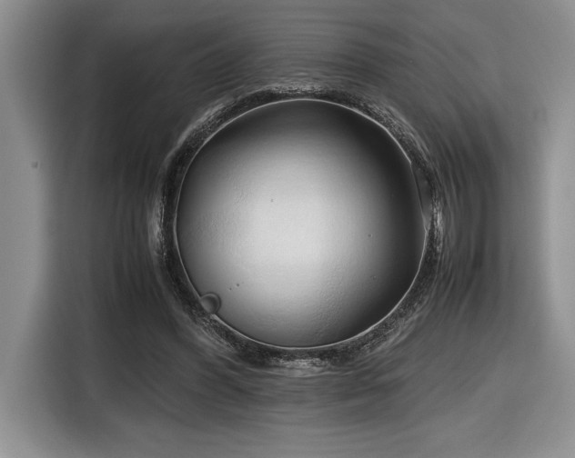 X0000116680396200912141436