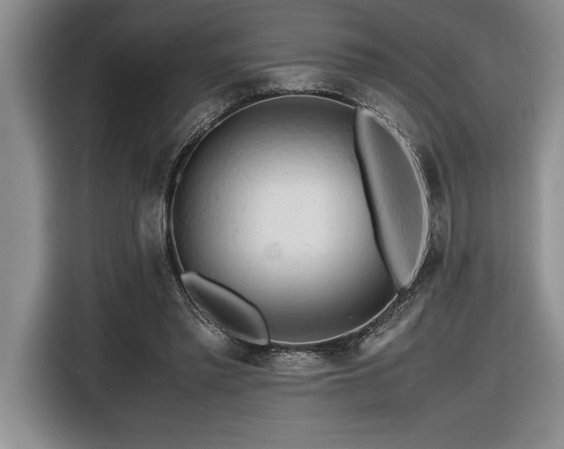 X0000116680397200912141436