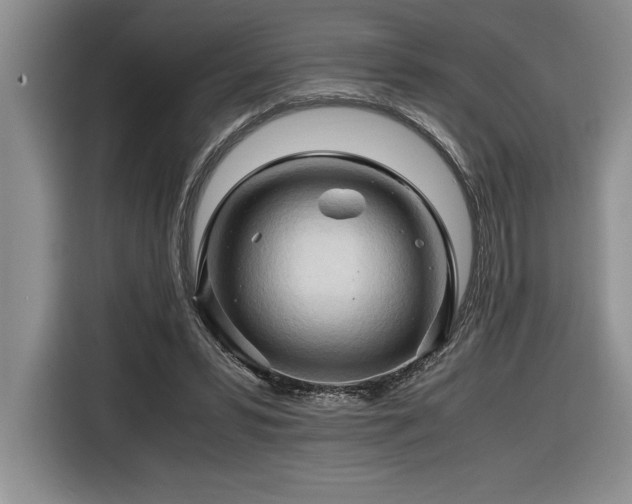 X0000116680399200912141436