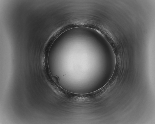 X0000116680400200912141436