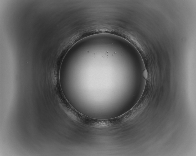 X0000116680402200912141436