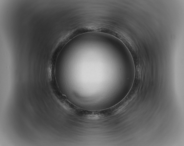 X0000116680404200912141436