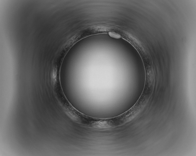 X0000116680406200912141436