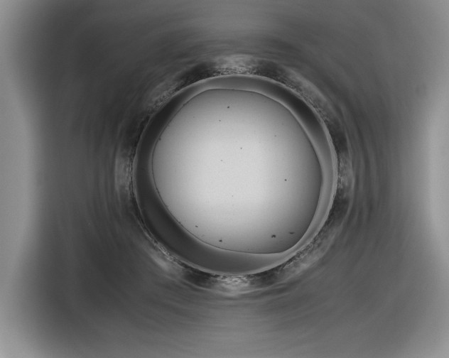 X0000116680409200912141436