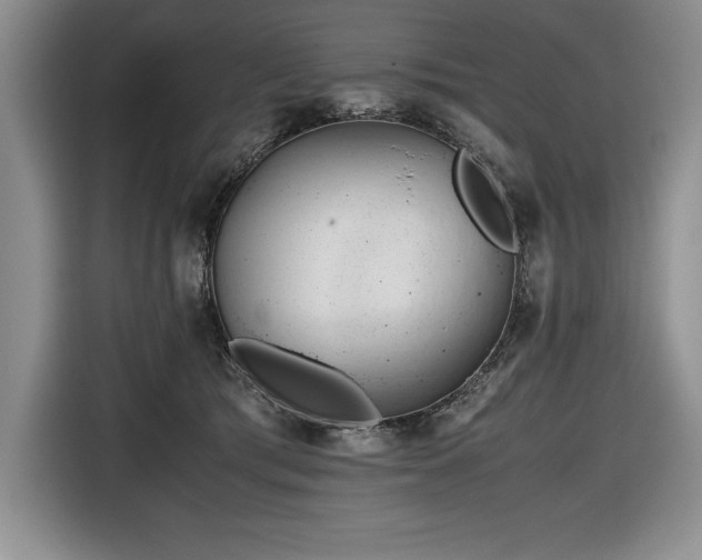 X0000116680417200912141436