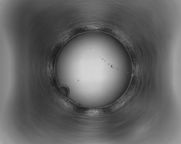 X0000116680418200912141436