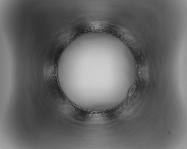 X0000116680419200912141436