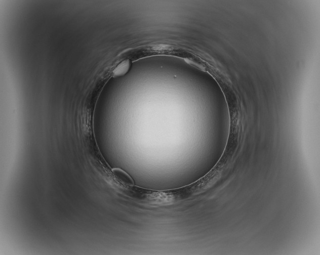 X0000116680421200912141436