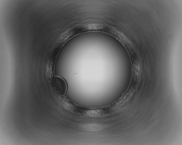 X0000116680422200912141436