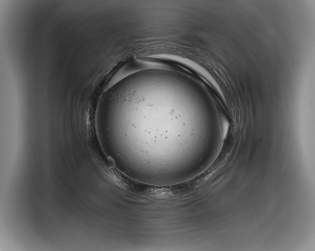 X0000116680424200912141436