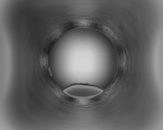 X0000116680425200912141436