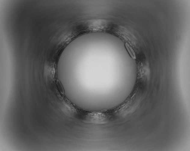 X0000116680427200912141436