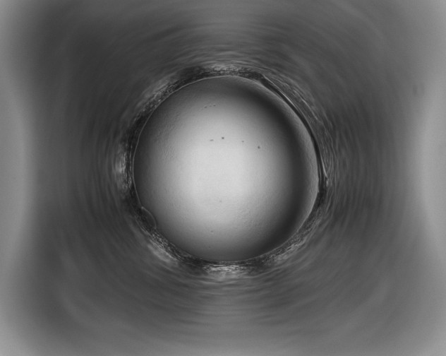 X0000116680428200912141436